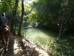 Ausflug Samana  Reiter mit Pferd in der Nähe des Wasserfalls El Limon (DOM).